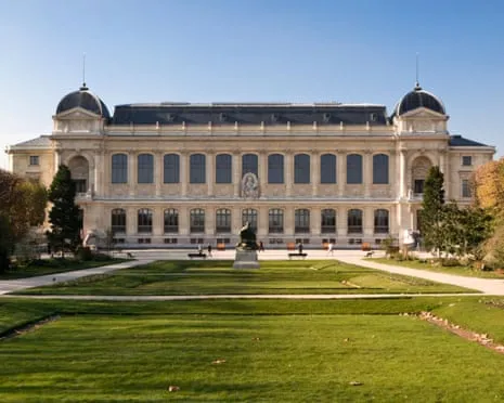 Historic Golden Pieces Taken in Audacious Raid at France's Natural History Museum